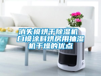 行业新闻消失模烘干除湿机 白模涂料烘房用抽湿机干燥的优点