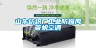 山东纺织厂工业防爆风管机空调