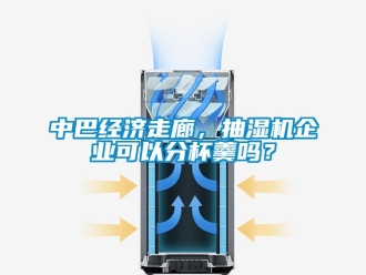 常见问题中巴经济走廊，抽湿机企业可以分杯羹吗？