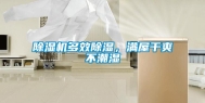 除湿机多效除湿，满屋干爽不潮湿