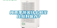 梅雨季节买什么鲜花比较好保存？