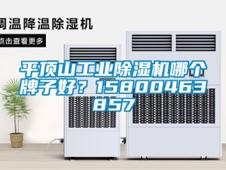 常见问题平顶山工业除湿机哪个牌子好？15800463857