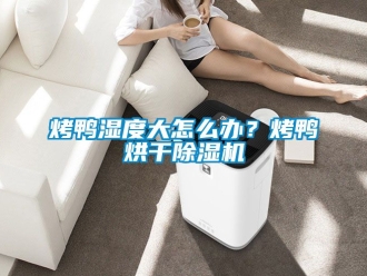 行业新闻烤鸭湿度大怎么办？烤鸭烘干除湿机