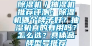 除湿机／抽湿机推荐评测：除湿机哪个牌子好？抽湿机真的有用吗？怎么选？具体品牌型号推荐