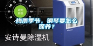 梅雨季节，钢琴要怎么保养？
