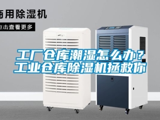 常见问题工厂仓库潮湿怎么办？工业仓库除湿机拯救你