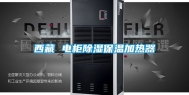 西藏 电柜除湿保温加热器