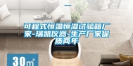 可程式恒温恒湿试验箱厂家-瑞凯仪器-生产厂家保质两年
