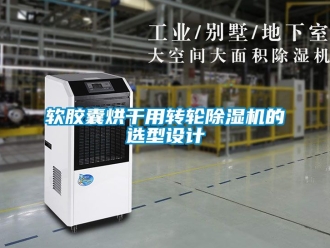 常见问题软胶囊烘干用转轮除湿机的选型设计