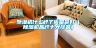 除湿机什么牌子质量最好（除湿机品牌十大排名）