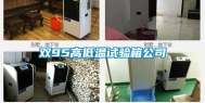双95高低温试验箱公司
