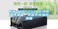 KW-TH-225Z 长沙恒温恒湿箱，可程式恒温恒湿箱