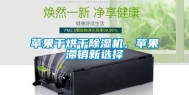 苹果干烘干除湿机，苹果滞销新选择