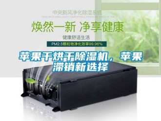 行业新闻苹果干烘干除湿机，苹果滞销新选择