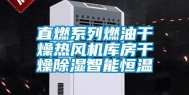 直燃系列燃油干燥热风机库房干燥除湿智能恒温