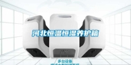 河北恒温恒湿养护箱