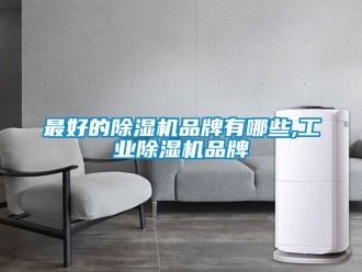 常见问题最好的除湿机品牌有哪些,工业除湿机品牌