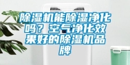 除湿机能除湿净化吗？空气净化效果好的除湿机品牌
