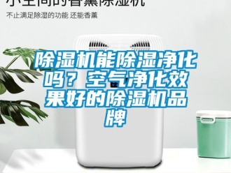 企业新闻除湿机能除湿净化吗？空气净化效果好的除湿机品牌