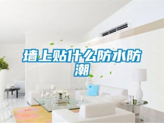 常见问题墙上贴什么防水防潮