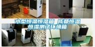 小型恒温恒湿箱 成都恒温恒湿测试环境箱