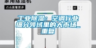 工业除湿：空调行业细分领域里的大市场_重复