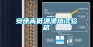 安康高低温湿热试验箱