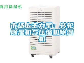常见问题市场上主力军：转轮除湿机与压缩机除湿机