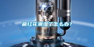 藏红花潮湿了怎么办？