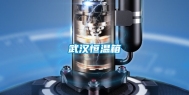 武汉恒温箱