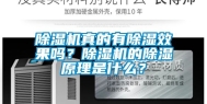 除湿机真的有除湿效果吗？除湿机的除湿原理是什么？