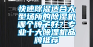 快速除湿适合大型场所的除湿机哪个牌子好？专业十大除湿机品牌推荐