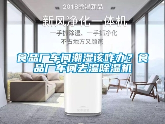 企业新闻食品厂车间潮湿该咋办？食品厂车间去湿除湿机