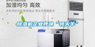 除湿机企业呼唤“领头羊”