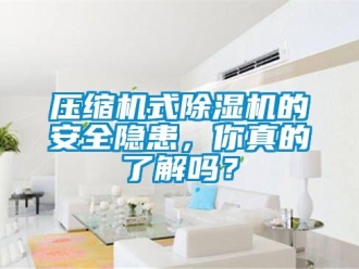 常见问题压缩机式除湿机的安全隐患，你真的了解吗？