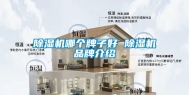 除湿机哪个牌子好 除湿机品牌介绍