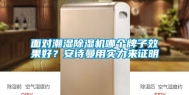 面对潮湿除湿机哪个牌子效果好？安诗曼用实力来证明