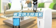 蕨菜烘干除湿机