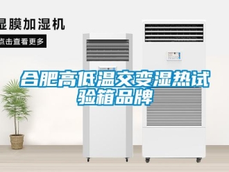 常见问题合肥高低温交变湿热试验箱品牌