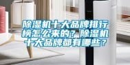 除湿机十大品牌排行榜怎么来的？除湿机十大品牌都有哪些？