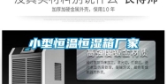 小型恒温恒湿箱厂家