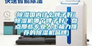 除湿国内什么牌子好(除湿机哪个牌子好？盘点那些专业人士极力推荐的除湿机品牌)