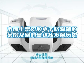 常见问题市面上常见的电子防潮箱的案例及密封盒进化发展历史