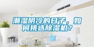 潮湿阴冷的日子，如何挑选除湿机？