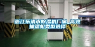 浙江乐清市除湿机厂家_高效抽湿机类型选择