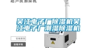 吴江电子厂除湿机吴江电子厂潮湿除湿机