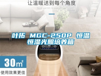 知识百科叶拓 MGC-250P 恒温恒湿光照培养箱