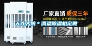 大连人防＊调温除湿机定做
