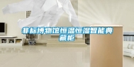 非标博物馆恒温恒湿智能典藏柜