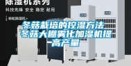 冬菇栽培的控湿方法 冬菇大棚雾化加湿机提高产量